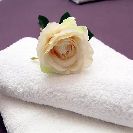 Old Town Manosa Apartman Split