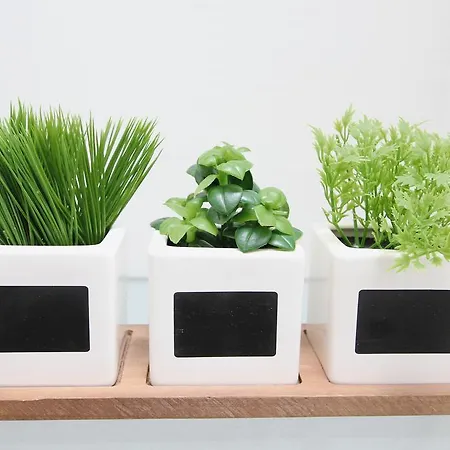 Old Town Manosa * Split