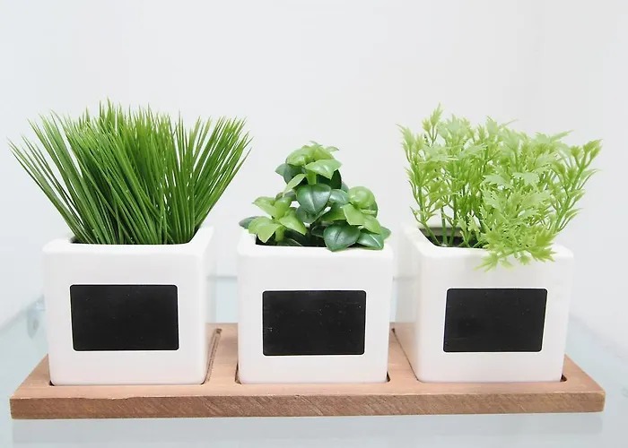 Old Town Manosa * Split