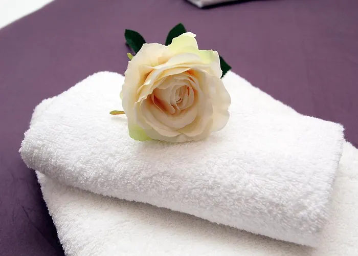 Old Town Manosa Apartament Split